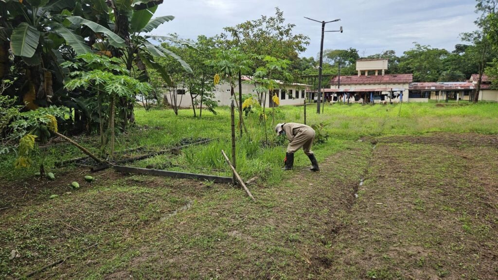 Práctica de campo de la media técnica agropecuaria