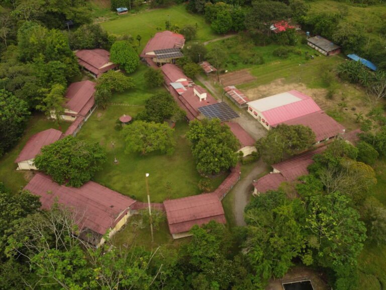 Vista aérea de las zonas verdes y canchas