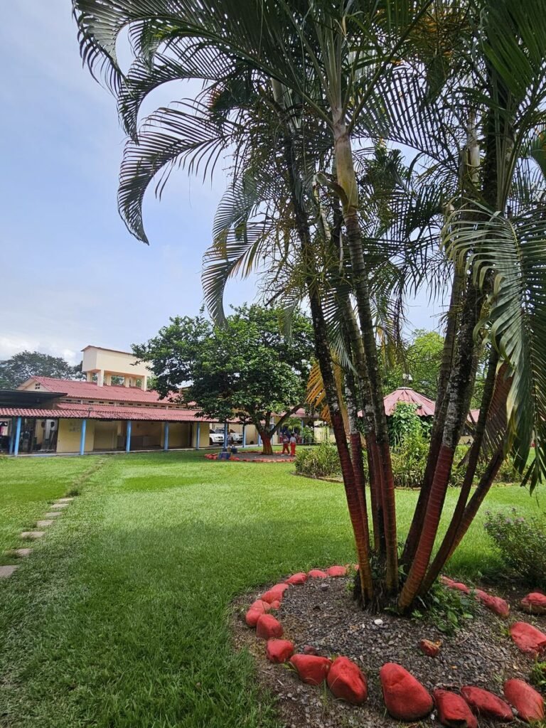 Escenario pedagógico con recursos de aprendizaje