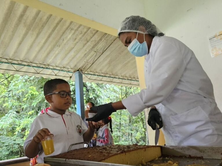 Preparación de alimentos en la cocina del restaurante escolar